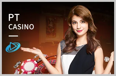 Người dùng đang đăng nhập vào Zalv Casino Link